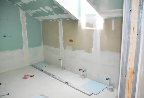 Best HVAC Mold Inspection and Cleaning  in Colfax, IL
