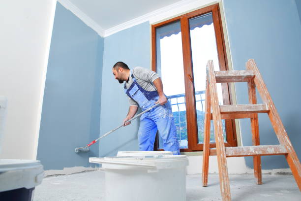 Best Mold-Related Health Consultation  in Colfax, IL