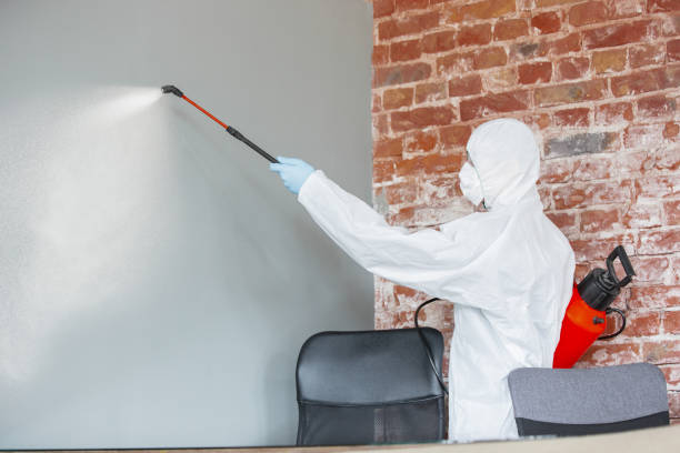 Professional Mold Removal in Colfax, IL