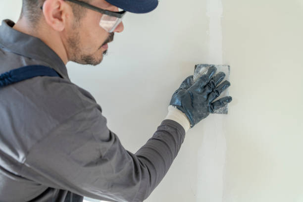 Best Mold Documentation for Insurance Claims  in Colfax, IL